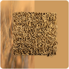 Blooming Silence Acoustic Panel