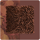 Blooming Silence Acoustic Panel